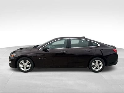2021 Chevrolet Malibu LS