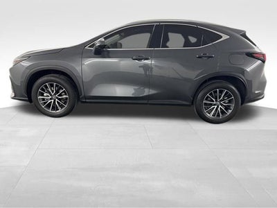 2025 Lexus NX 250 Premium