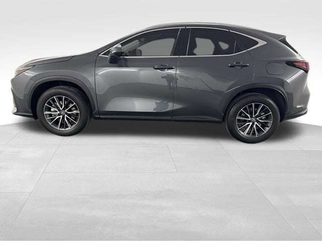 2025 Lexus NX 250 Premium