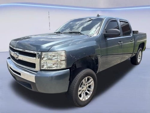 2010 Chevrolet Silverado 1500 LS