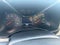 2022 Chevrolet Colorado WT