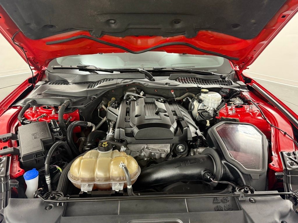 2019 Ford Mustang EcoBoost