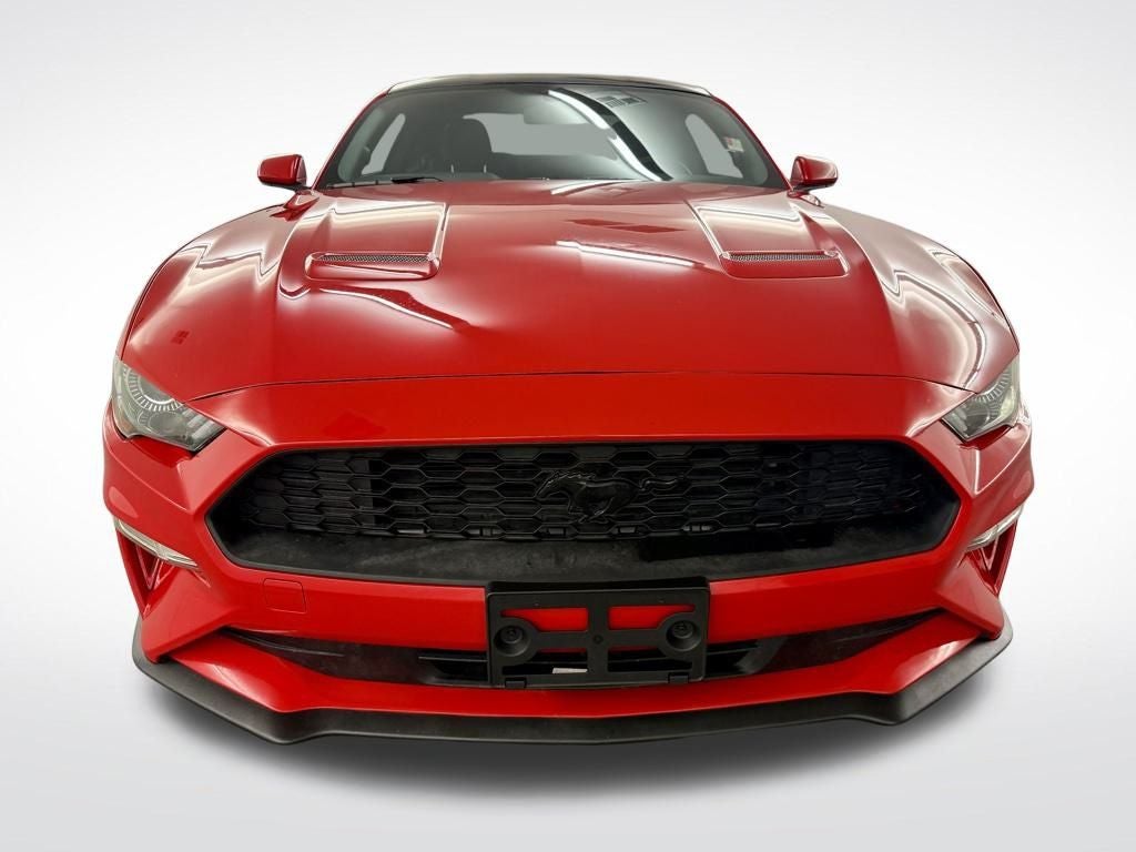 2019 Ford Mustang EcoBoost