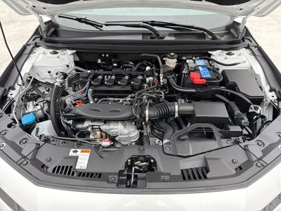 2025 Honda Accord 1.5T LX