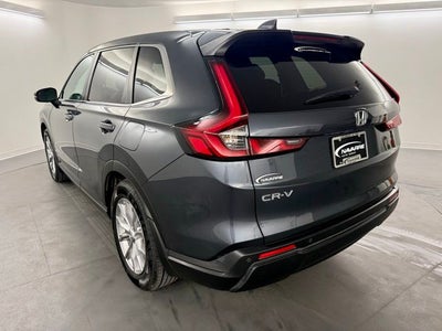 2023 Honda CR-V 1.5T 2WD EX-L